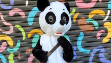Panda Pló chama atenção da cena do rap nacional