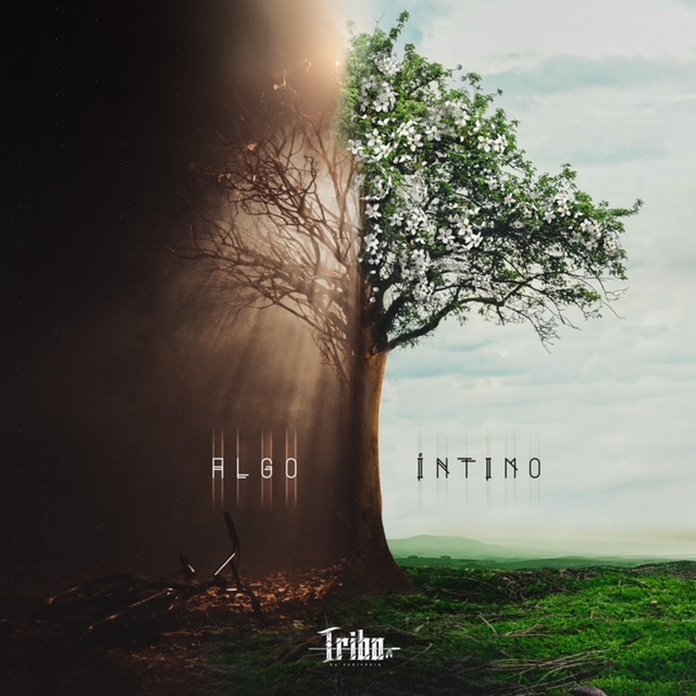 Algo Íntimo, novo single do Tribo da Periferia, já está disponível nas plataformas digitais