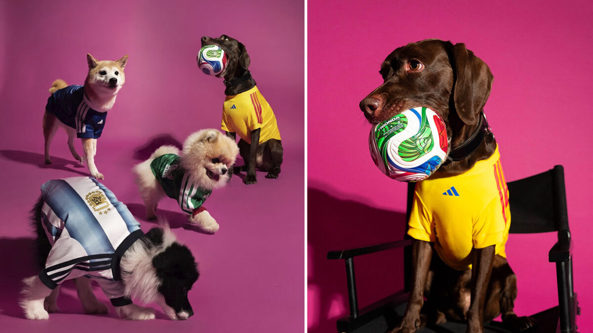 Uniformes da Copa 2026 inspiram nova coleção pet da Adidas