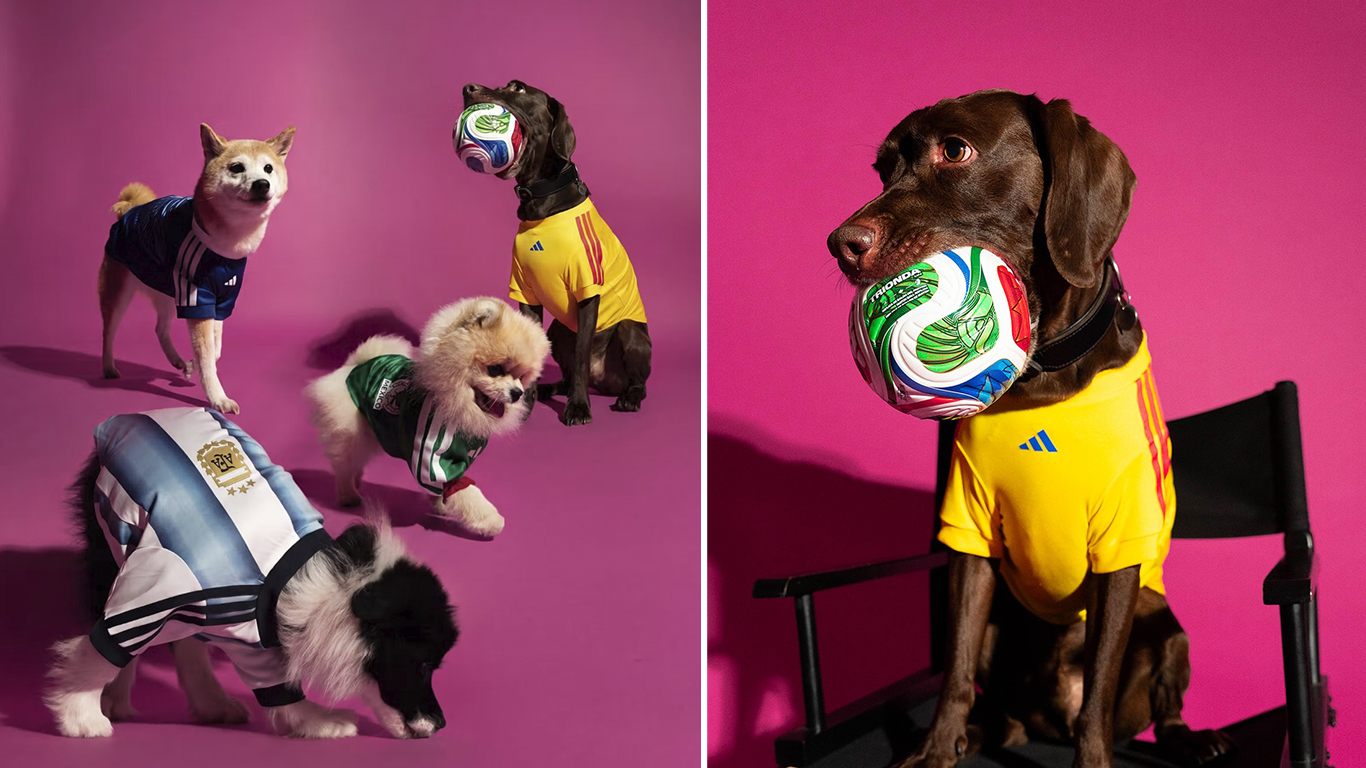 Uniformes da Copa 2026 inspiram nova coleção pet da Adidas