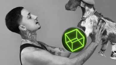 Felipe Moda, criador do projeto The Box, falece aos 26 anos